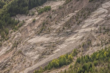 Dağların ve ağaçların havadan görünüşü