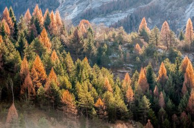 Dağlarla, doğayla güzel bir manzara.