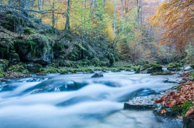 Dağlardaki nehrin güzel manzarası
