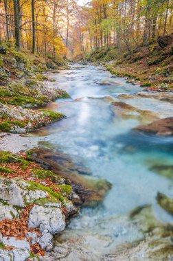 Dağlardaki nehrin güzel manzarası