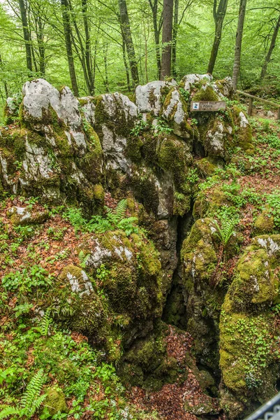 Kayalarla Doğayla Güzel Bir Manzara — Stok fotoğraf