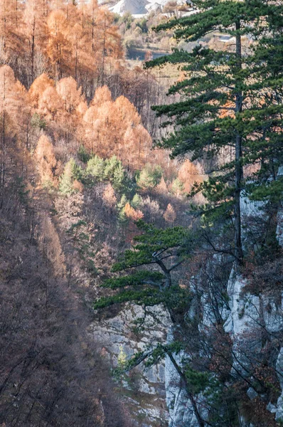 山と自然との美しい風景 — ストック写真