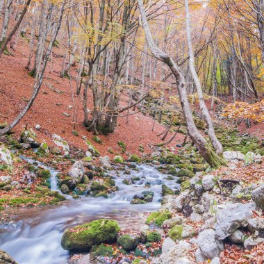 Dağlardaki nehrin güzel manzarası