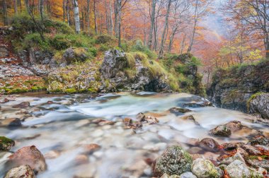 Dağlardaki nehrin güzel manzarası