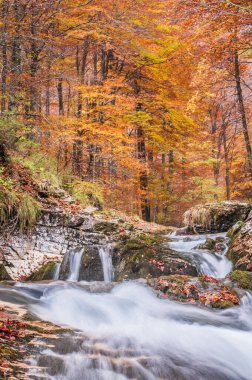 Dağlardaki nehrin güzel manzarası