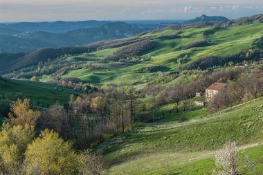 fields in the hills cultivated at sunset