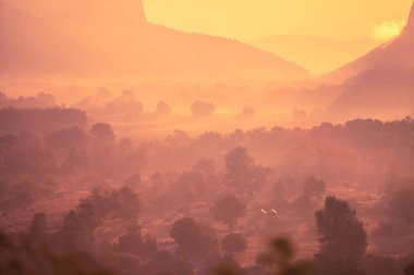 Vadide gün doğumu, vadide sis, renkli gündoğumu