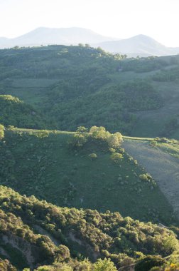 Çorak Topraklar, çorak Topraklar, Çorak Topraklar Büyük Bataklıklar