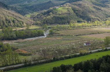 plantation, farm, agriculture, cultivated fields