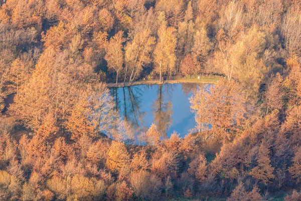 Beau Paysage Avec Lac Forêt Couleurs Automne — Photo