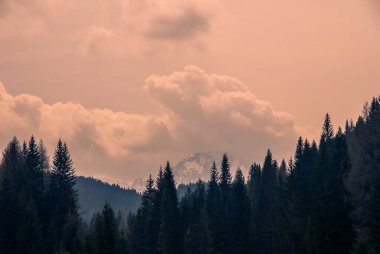 Dağlar ve vadiler, Alpler.