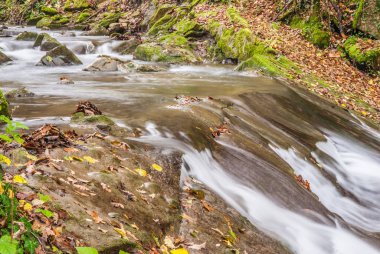 Nehir, şelaleler, nehirler, akan sular.