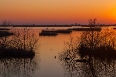 Bataklıkta gün batımı, bataklıkta gün batımı, gölet, vahşi rezerv, lagün rezervi