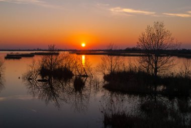 Bataklıkta gün batımı, bataklıkta gün batımı, gölet, vahşi rezerv, lagün rezervi