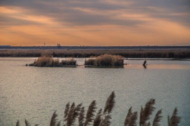 Bataklıkta gün batımı, bataklıkta gün batımı, gölet, vahşi rezerv, lagün rezervi