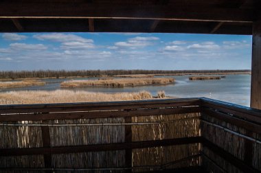 Göldeki kamış tarlası, göl koruma alanı.