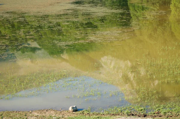 山の池や反射自然 — ストック写真