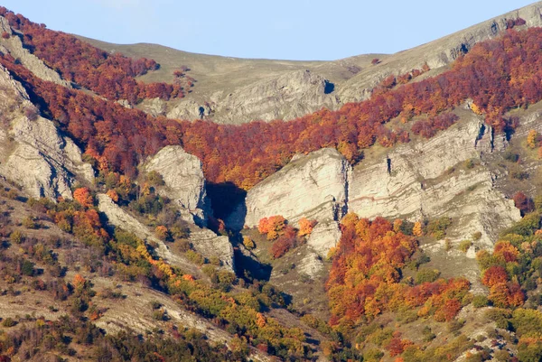 秋になると山は色付き — ストック写真