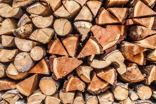 Pile Logs Trunks Storage — Stock Photo, Image