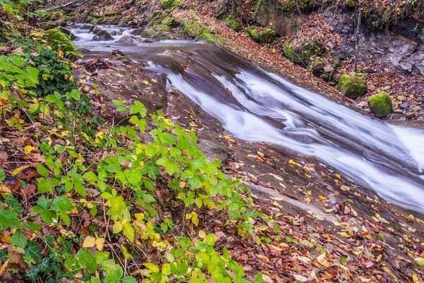 River Waterfalls Rapids Flowing Water — 스톡 사진