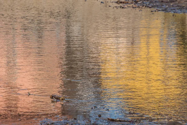 流れる水や色のついた水 — ストック写真