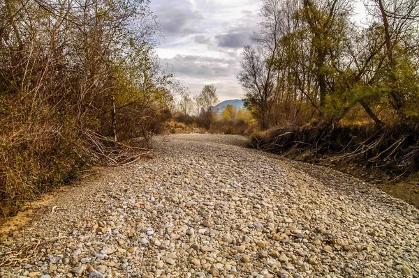 Dry River Bed Torrent Drought Arid River — Stock Photo, Image