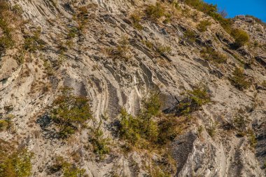 mountains cliffs, rocks and plants