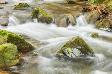 Nehir, şelaleler, nehirler, akan sular.