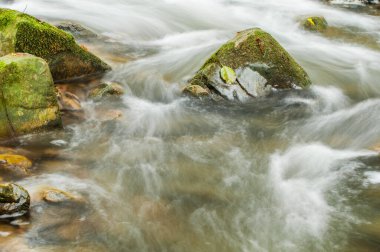 Nehir, şelaleler, nehirler, akan sular.