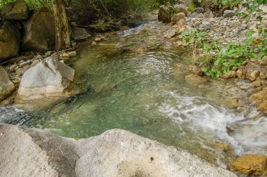 flowing water and rapids