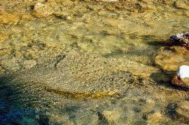 flowing river and rapids 