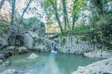 flowing river and rapids