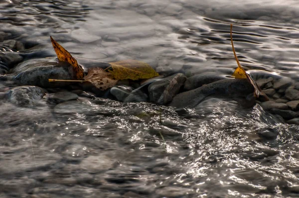 Ripples Water Nature — ストック写真