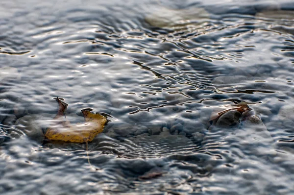 Ripples Water Nature — ストック写真