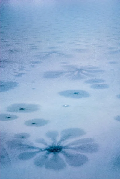 Iced Water Figures Ice Iced Lake Frozen Water Circles Ice — 스톡 사진