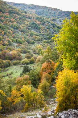 colorful valley in the fall