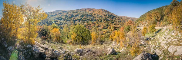 谷の紅葉 秋の山林 秋の紅葉 — ストック写真