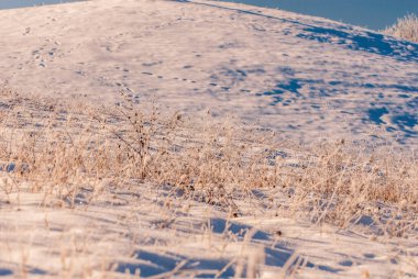 animal footprints on the snow in the iced meadow