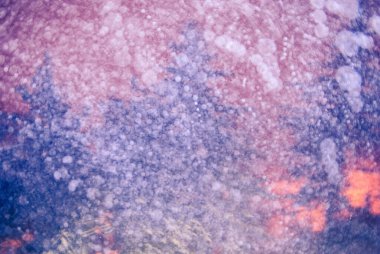 Çam ağaçlarının arka planında soyut kar fırtınası