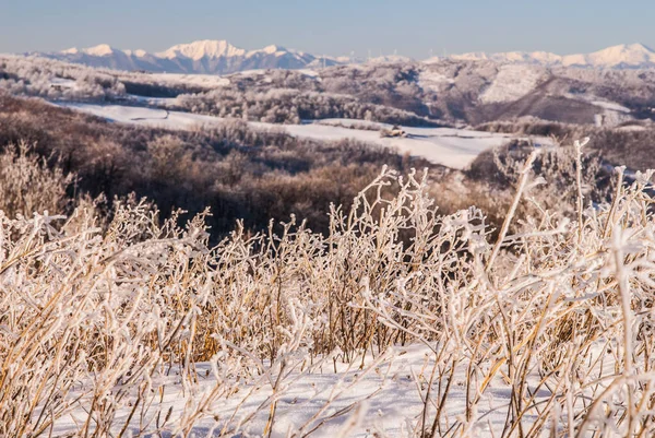 Iced Grass Mountains Landscape — 스톡 사진