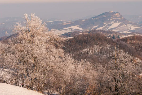 Kışın Dağların Manzarası — Stok fotoğraf