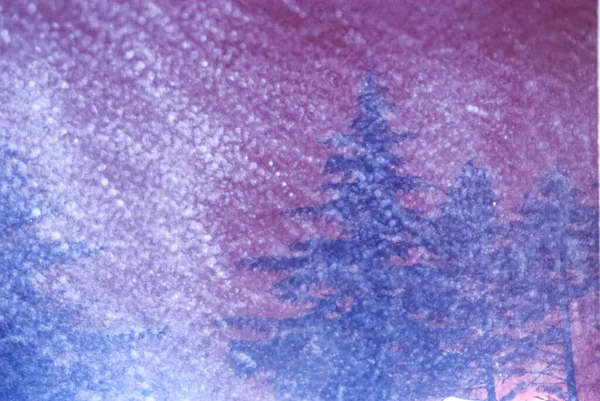 도시에 내리는 눈보라가 나무숲을 뒤덮고 — 스톡 사진