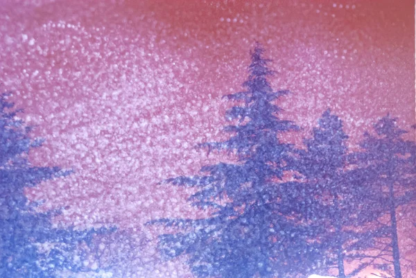 도시에 내리는 눈보라가 나무숲을 뒤덮고 — 스톡 사진