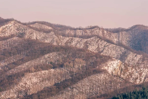 Gün Batımı Çıplak Ormanlarda Karla Kaplı Zirvelerde — Stok fotoğraf