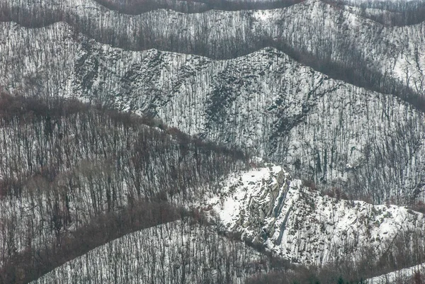 Çıplak Ormanlar Karla Kaplı Zirveler — Stok fotoğraf