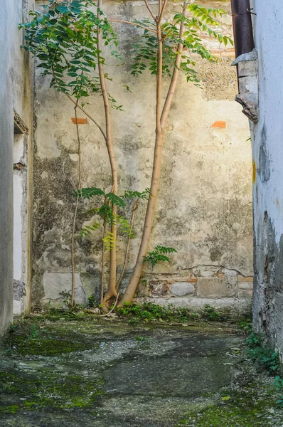Aufgelassenes Gebäude Geisterstadt — Stockfoto