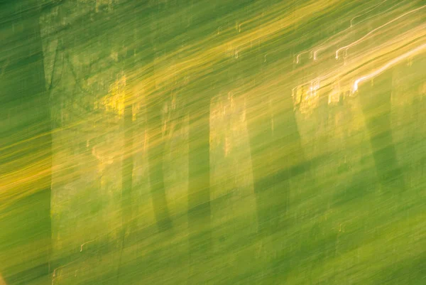 Abstract Trees Movement Blurred — Stock Photo, Image