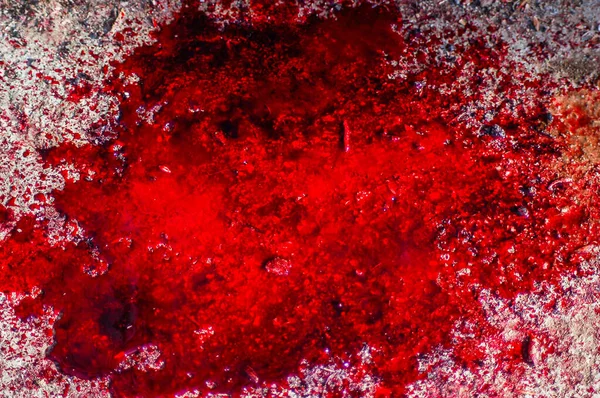 Kałuża Krwi Ziemi — Zdjęcie stockowe