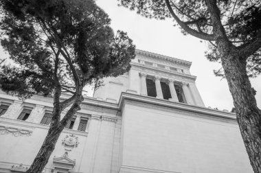 Roma, siyah beyaz Vittoriano ve çamları ayrıntılarıyla anlatıyor