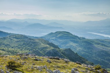 forest and meadows of the mountain valley